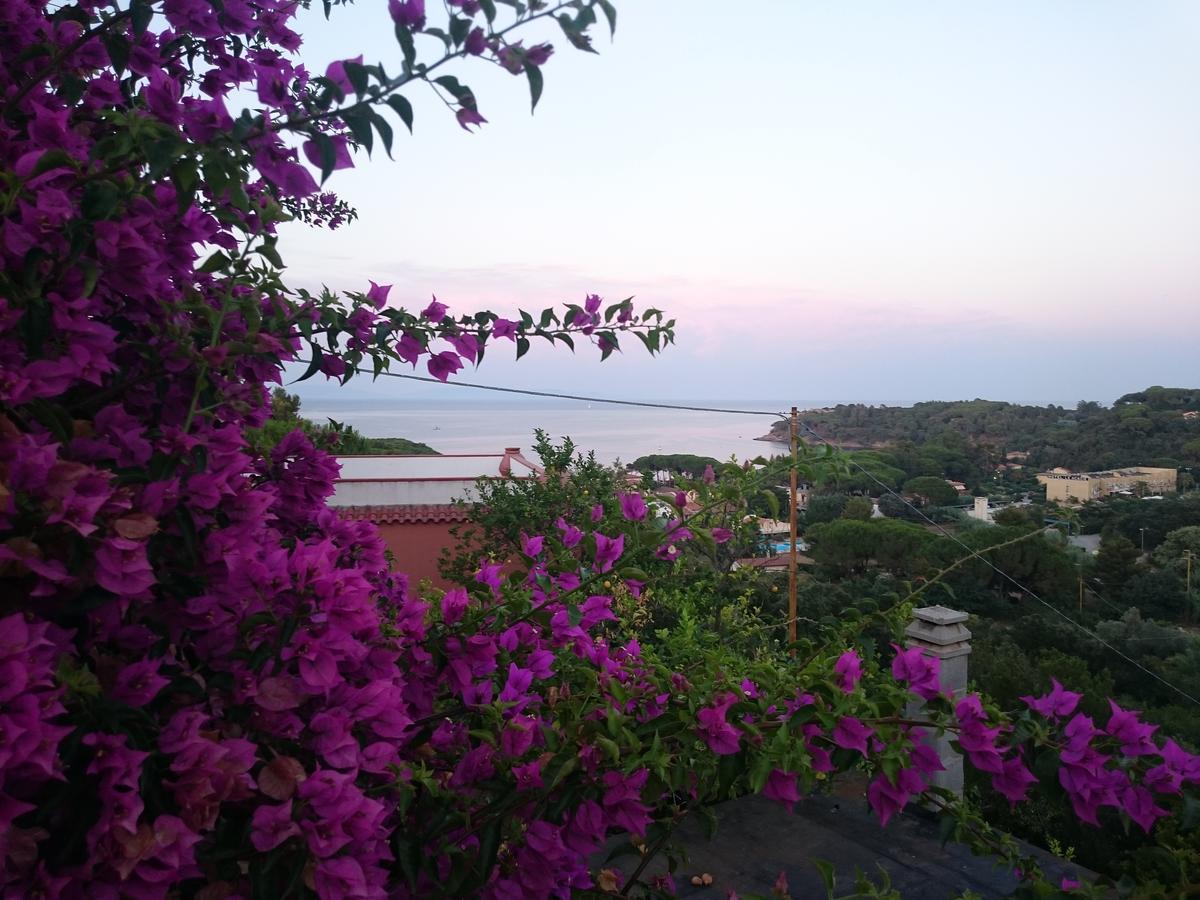Aparthotel Elba *
