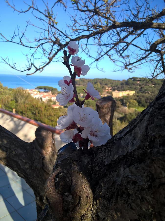 Elba * Capoliveri (Isola d'Elba)