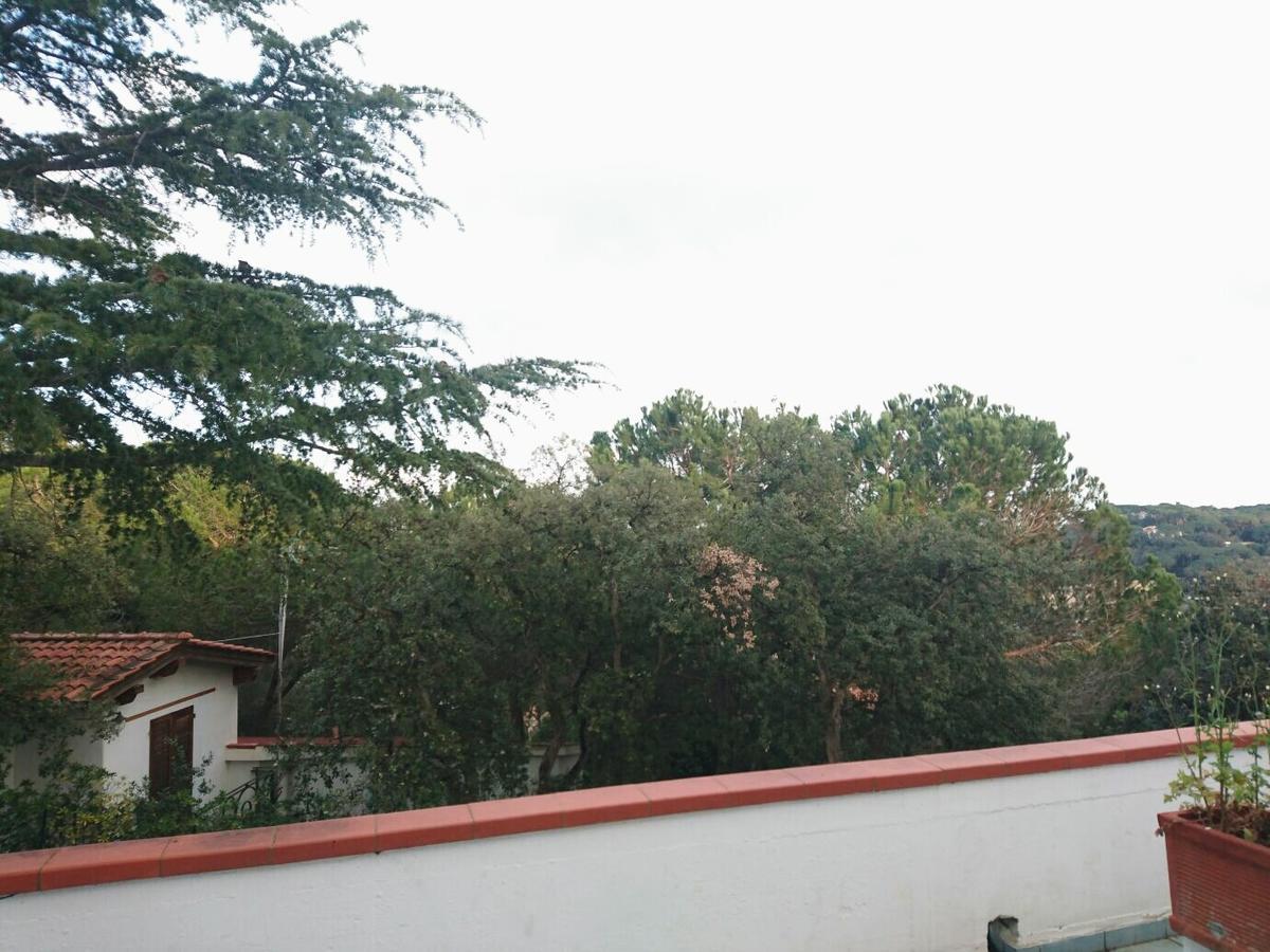 Elba * Capoliveri (Isola d'Elba)